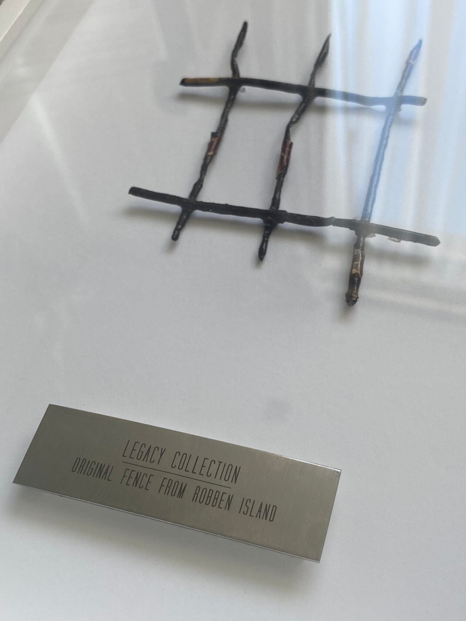 Wire Art - Robben Island Fencing image 5